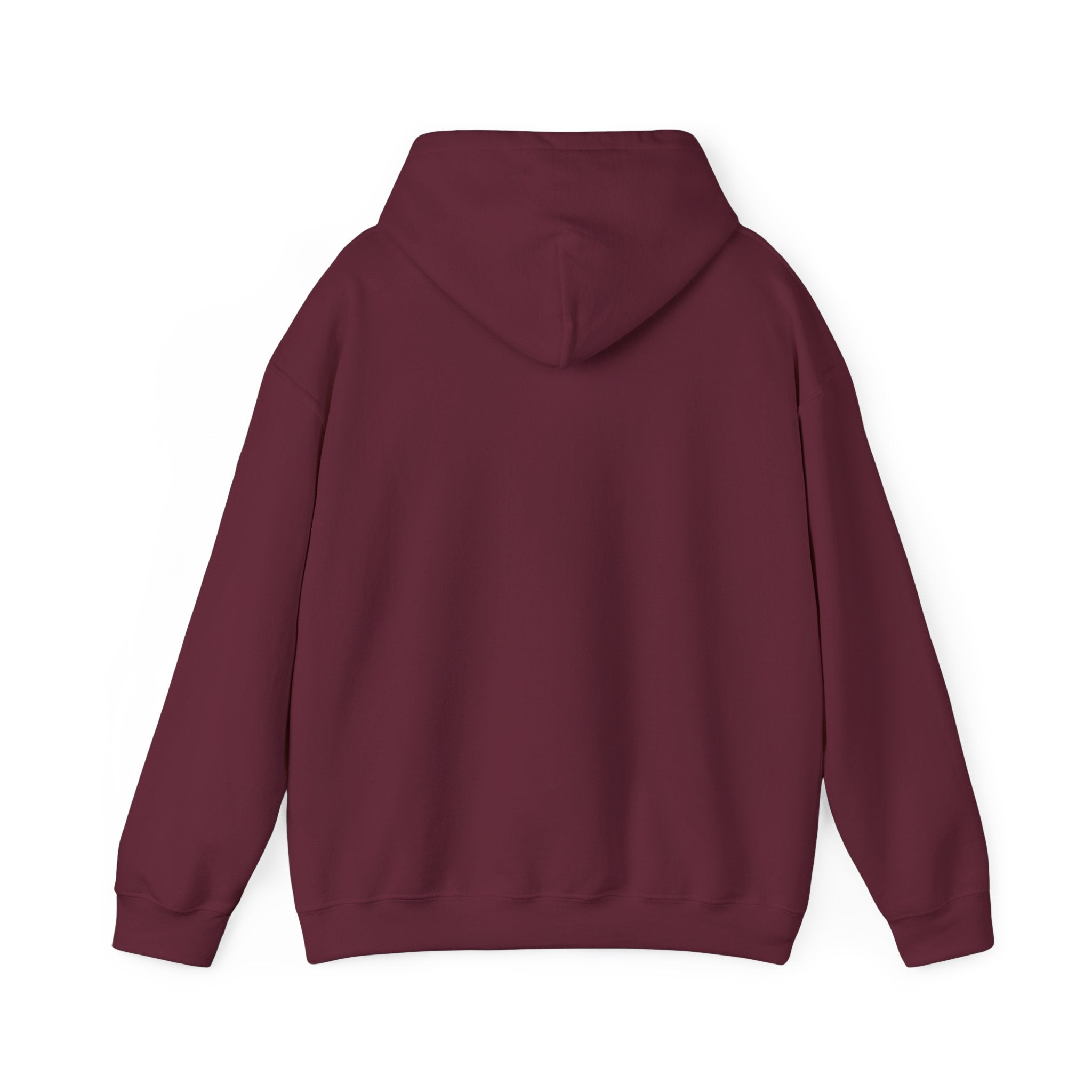 Just Believe  Hoodie — Inspirational Outdoor Graphic Sweatshirt