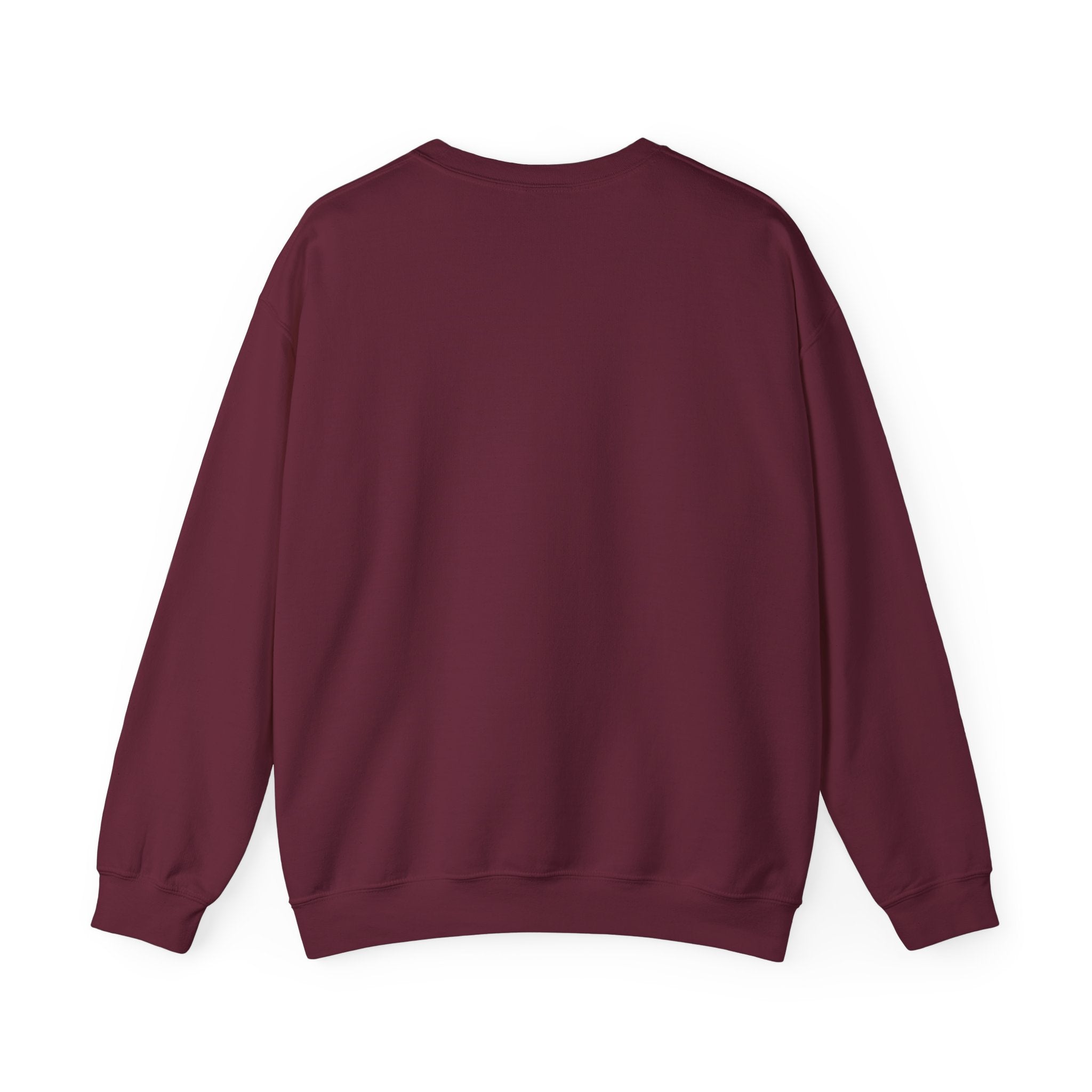 Just Believe Stronger Every Day Sweatshirt | gym motivation, active wear