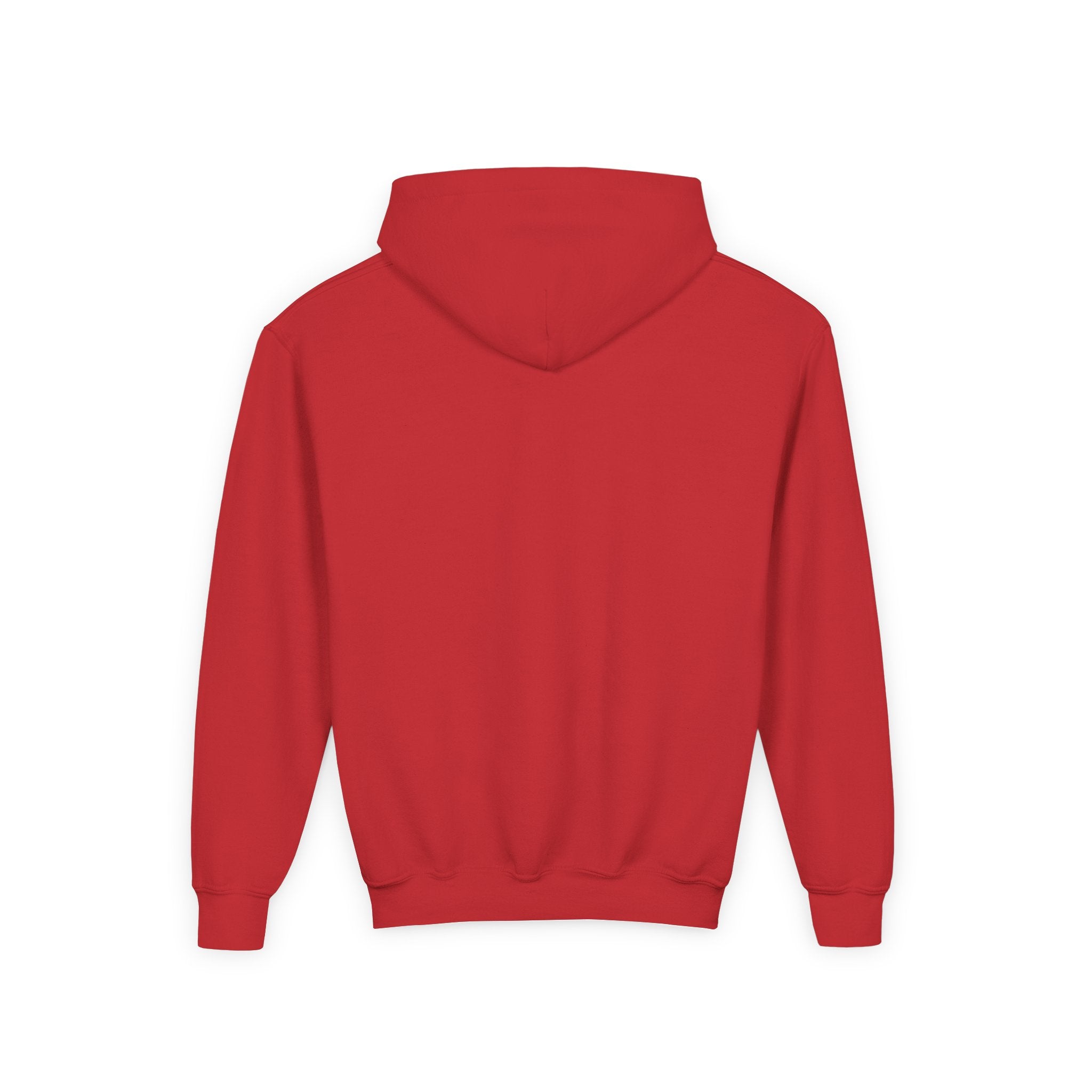 JustBelieve Hoodie Youth Hooded Sweatshirt | Inspirational Faith Design