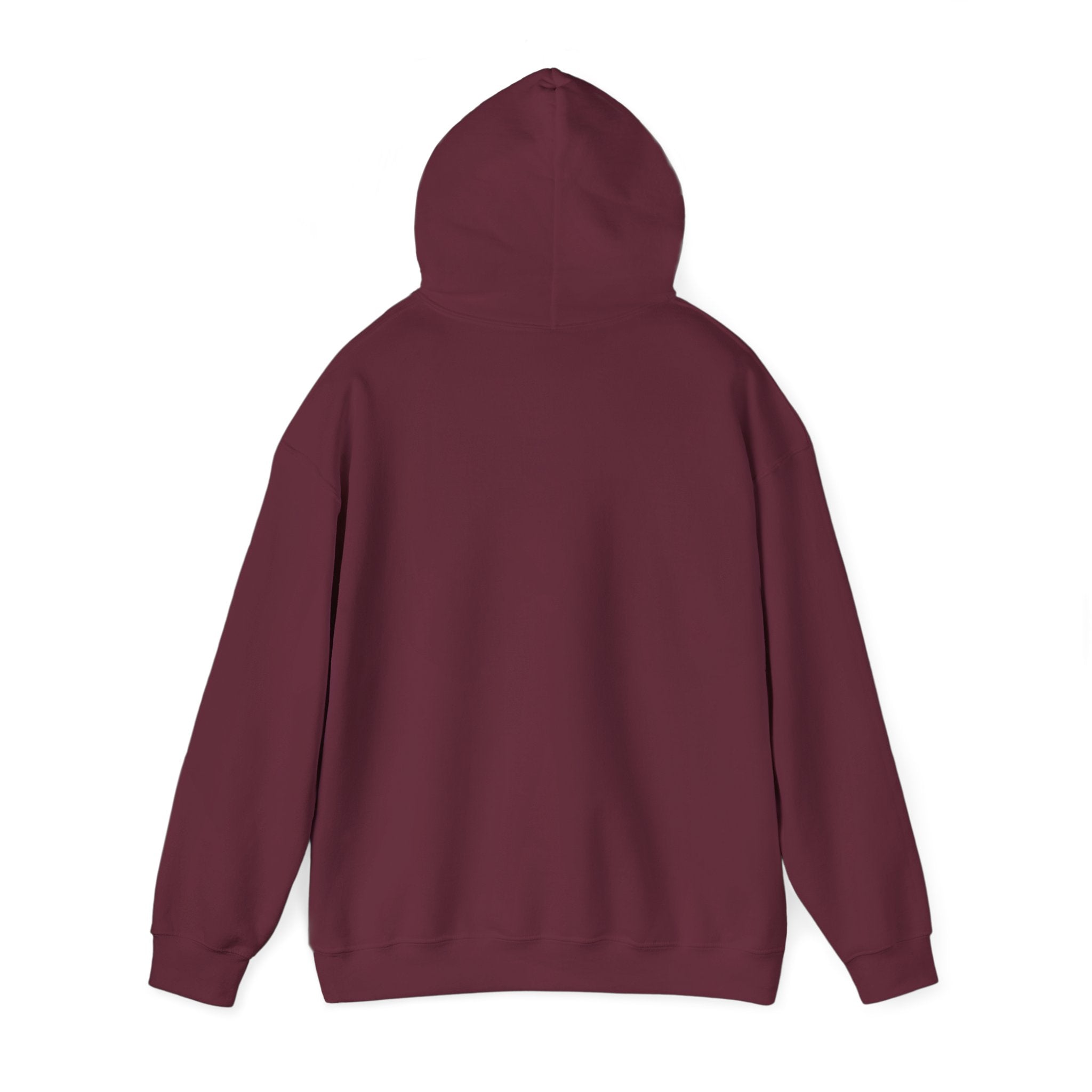 Just Believe  Hoodie — Inspirational Outdoor Graphic Sweatshirt