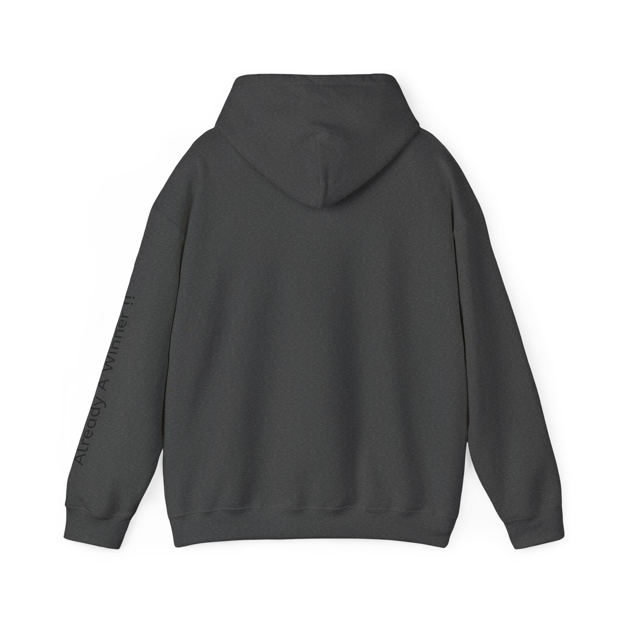Just Believe Gym Motivation Hoodie | fitness shirt, active wear
