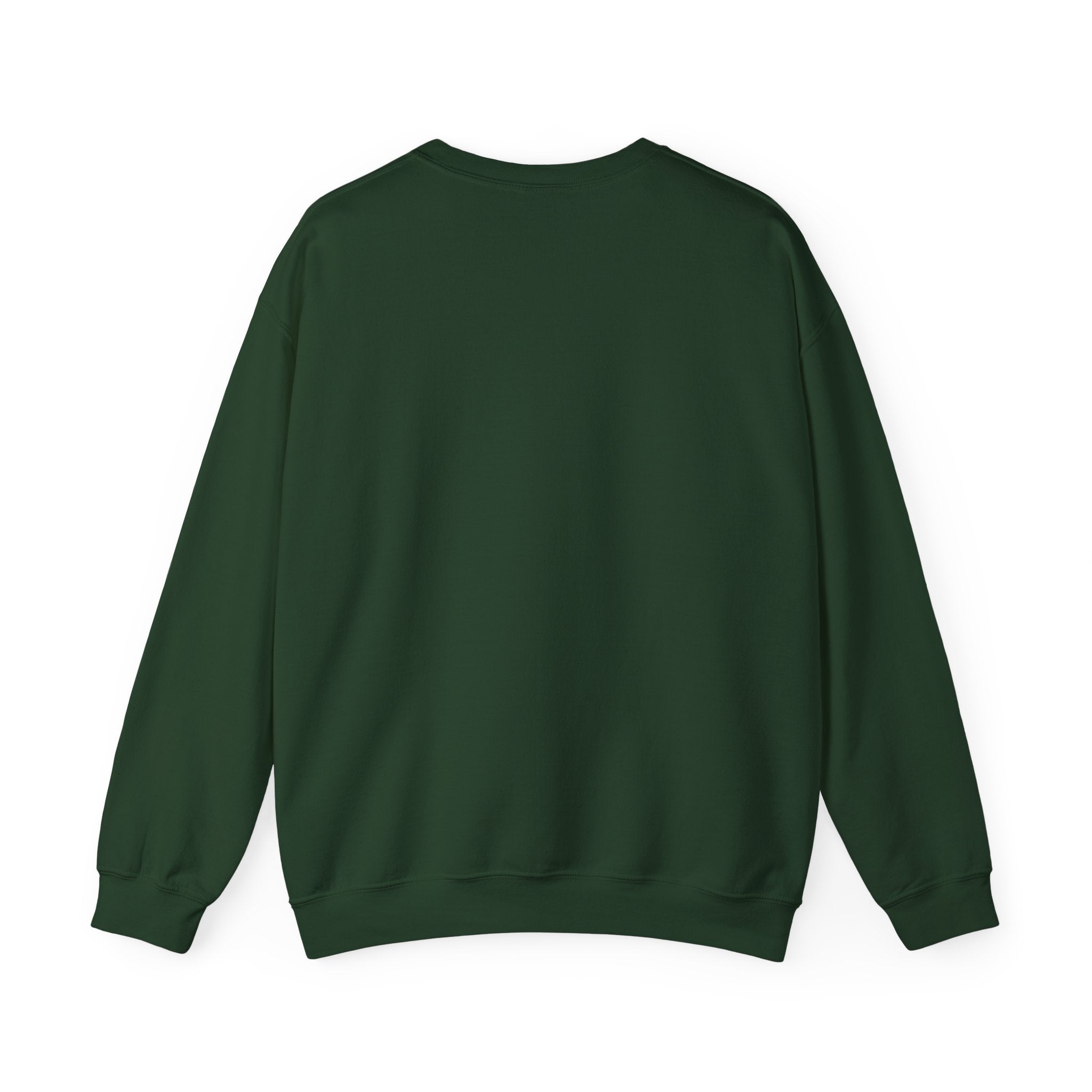 Just Believe Stronger Every Day Sweatshirt | gym motivation, active wear