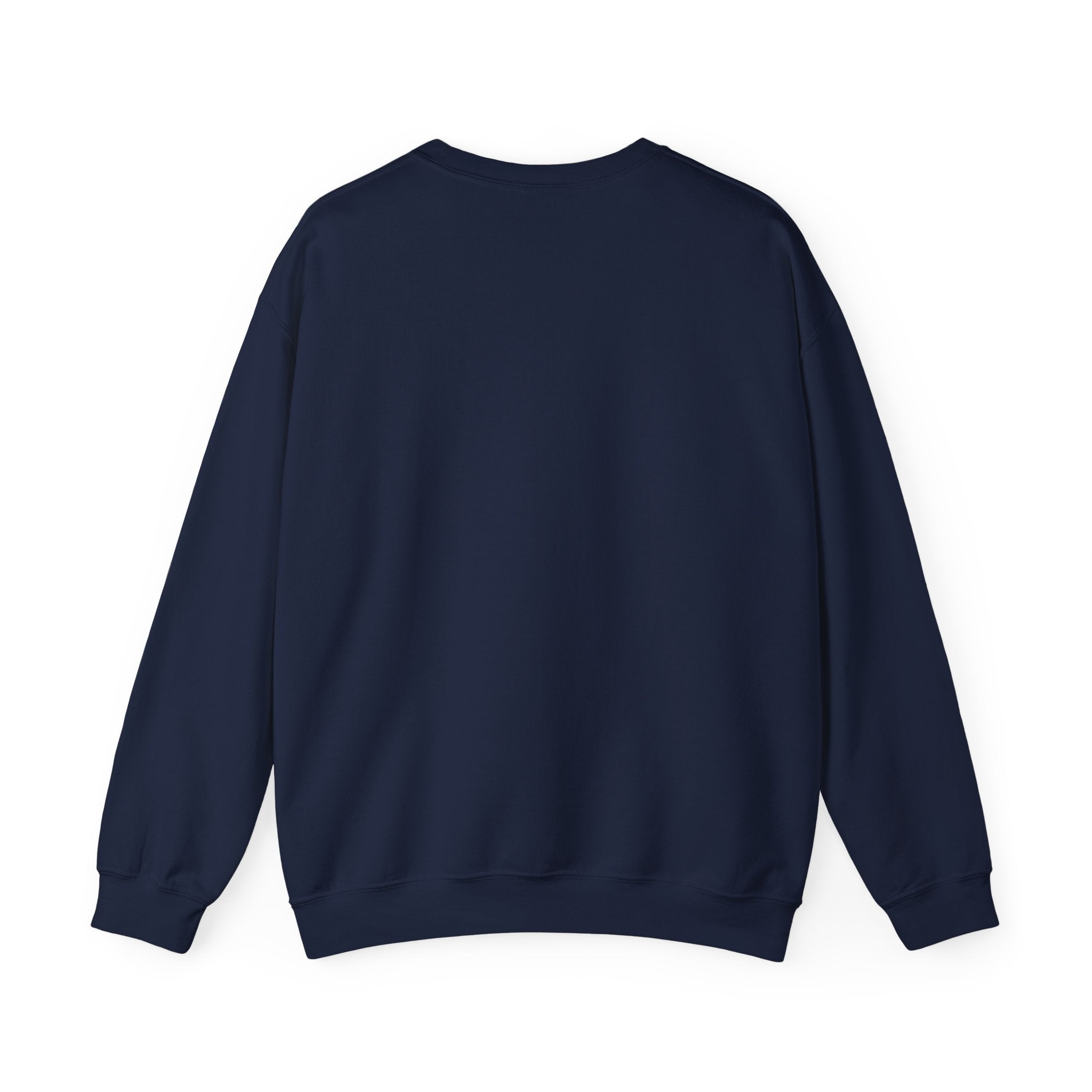 Just Believe Stronger Every Day Sweatshirt | gym motivation, active wear