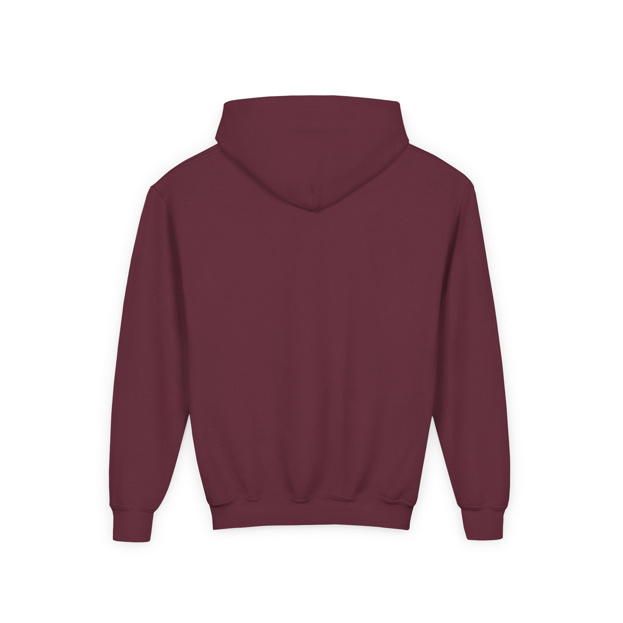 JustBelieve Hoodie Youth Hooded Sweatshirt | Inspirational Faith Design